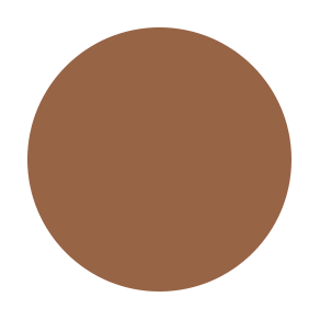 Stage Beauty Palette Refill