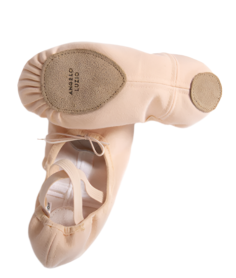 Buy online high quality Angelo Luzio Total Stretch Canvas Ballet Slippers - The Movement Boutique - Kelowna