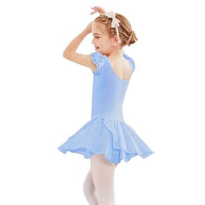 Sequin Cap Sleeve Skirted Leotard