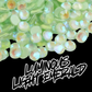 107 Luminous Lt. Emerald - Premium Rhinestones
